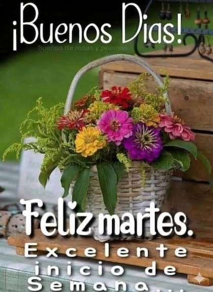 Otra opción para saludar a compañeros, amigos o familiares