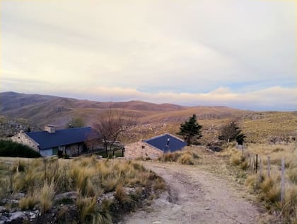 Otra vista del campo al atardecer.