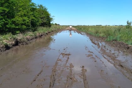 Otro camino rural en Carlos Casares. A principios de año hubo problemas para sacar la producción