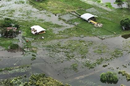 Otro campo bajo el agua en Guillermina, en el norte de Santa Fe
