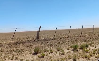Otro campo de la región