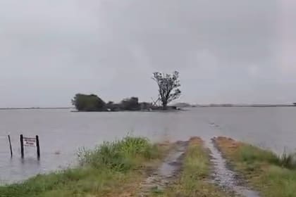 Otro campo de la región afectado por la inundación