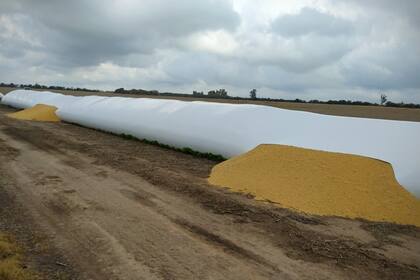 Otro de los bolsones vandalizados en el campo