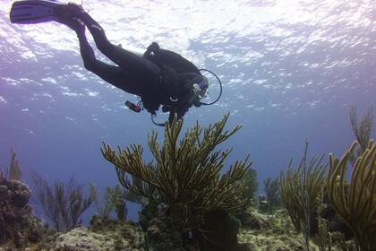 Otro factor importante a considerar antes de iniciarse en el buceo es el tamaño del grupo y la relación entre instructor y estudiante