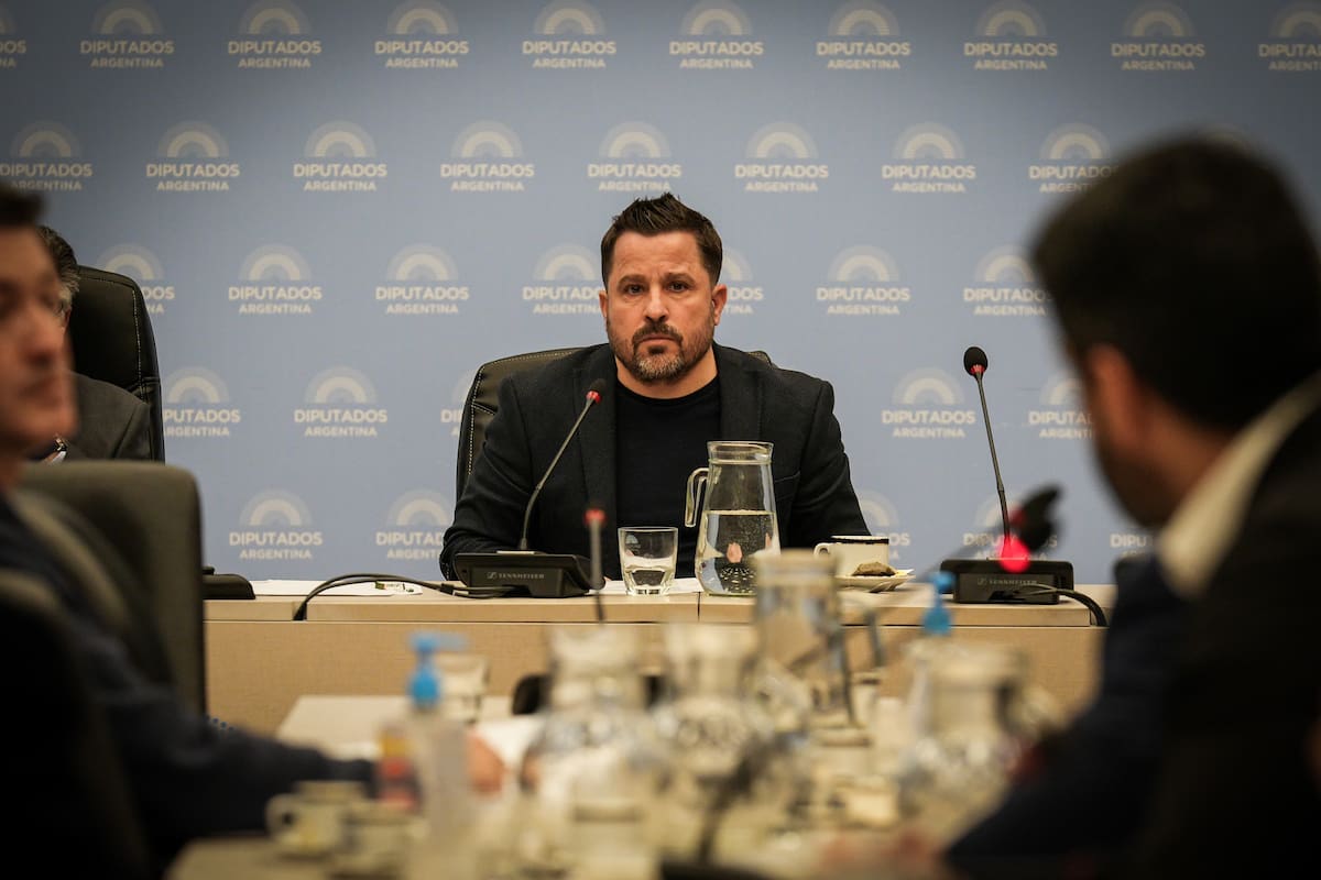 Otro revés para Martín Tetaz, el radical que preside la comisión de Legislación del Trabajo en Diputados