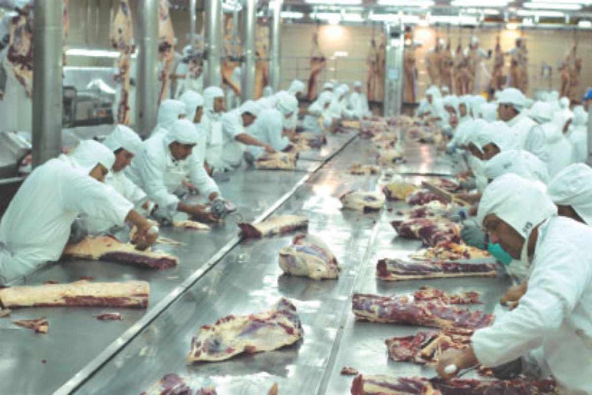 Otro tiempos. El frigorífico ArreBeef, en plena actividad