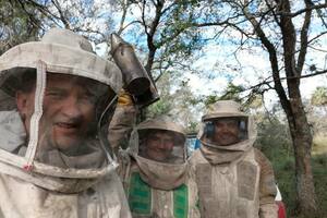 El golpe extremo que llevó a un grupo de apicultores a  no cosechar ni un solo kilo de miel