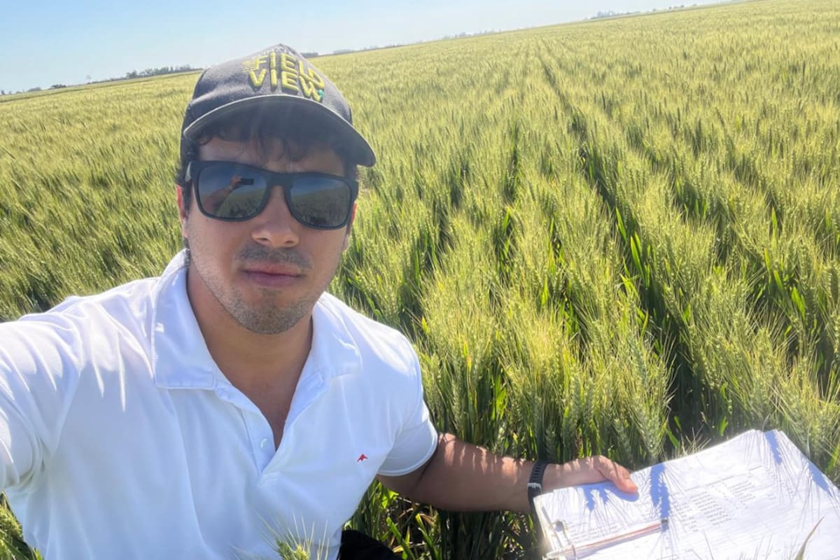 Otros tiempos: Ignacio Juárez en un lote de trigo