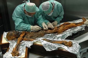 Ötzi, el cadáver momificado por el frío durante 5300 años, fue hallado en 1991 en un glaciar alpino