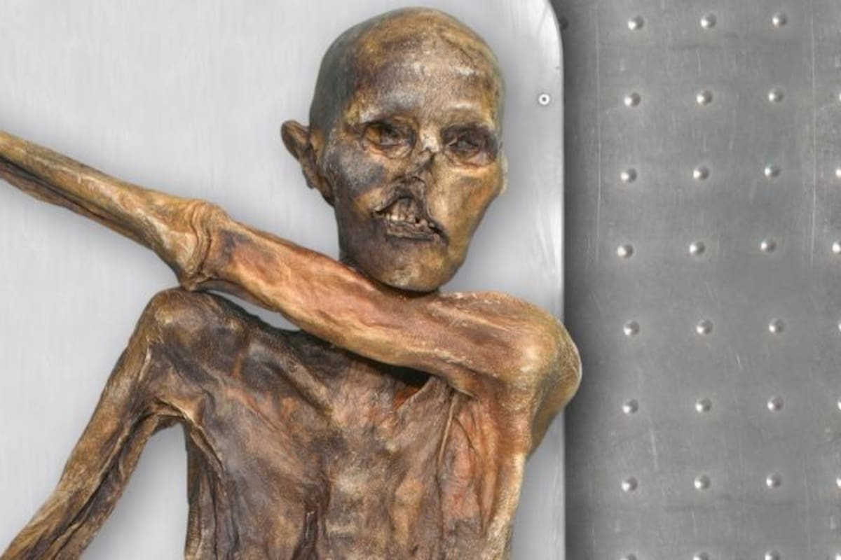 Ötzi es una de las momias más estudiadas en el mundo
