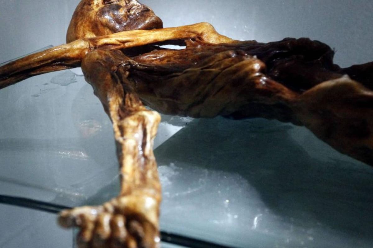 Otzi fue descubierto en 1991