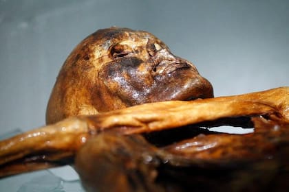 Ötzi fue hallado en los Alpes en 1991.