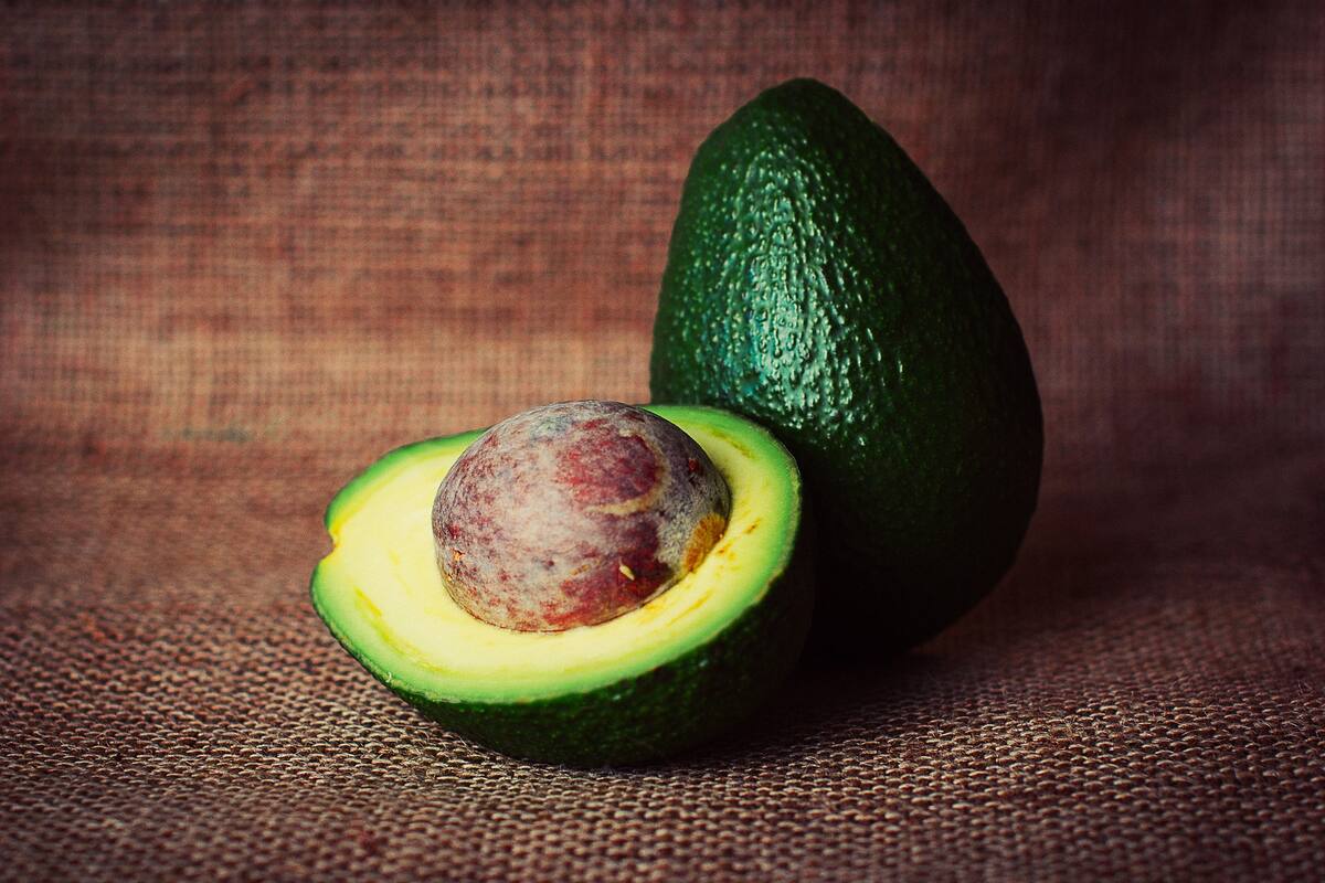 Overcado,un fenómeno de saturación del mercado que atenta contra la calidad de este fruto y genera conflictos en México