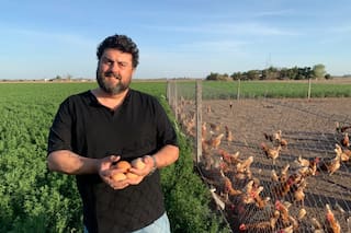 Empezó con gallinas libres de jaula, produce miles de huevos y un supermercado es su gran cliente