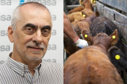 Pablo Cortese es presidente del Senasa, el organismo que delineó el plan de vacunación