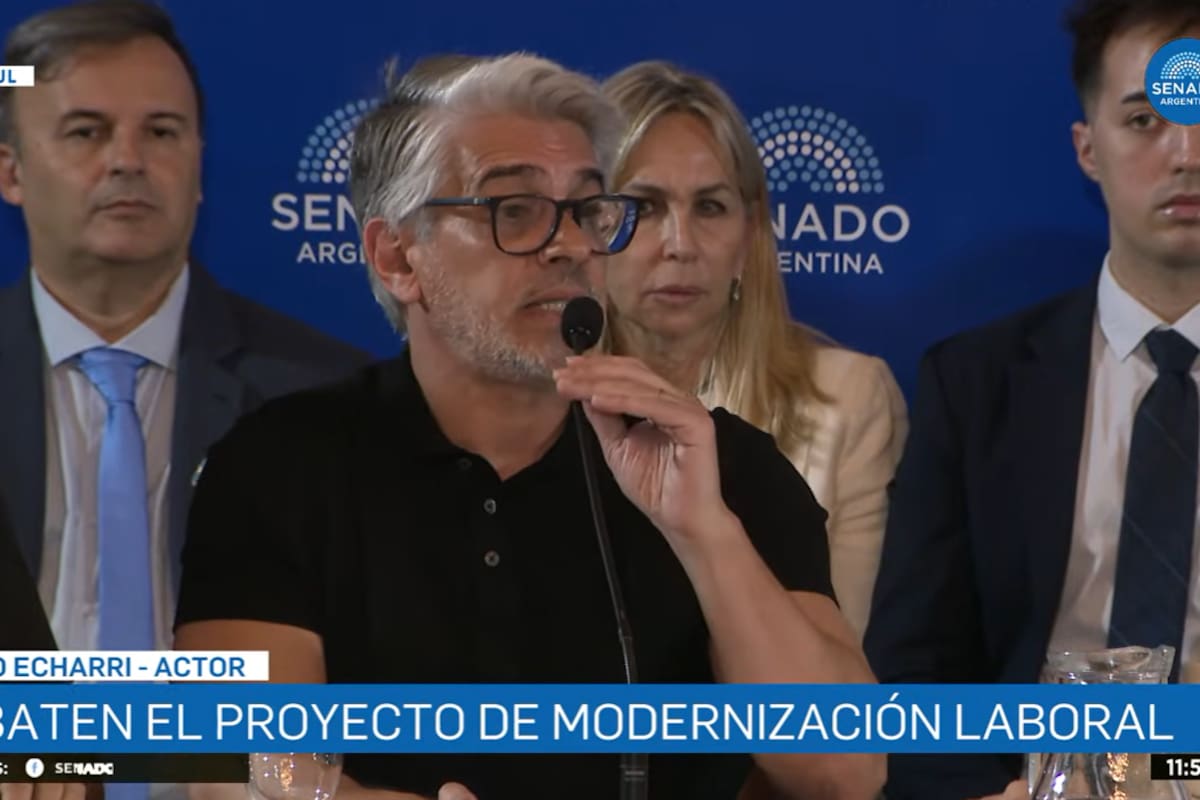 Pablo Echarri expuso en el Senado