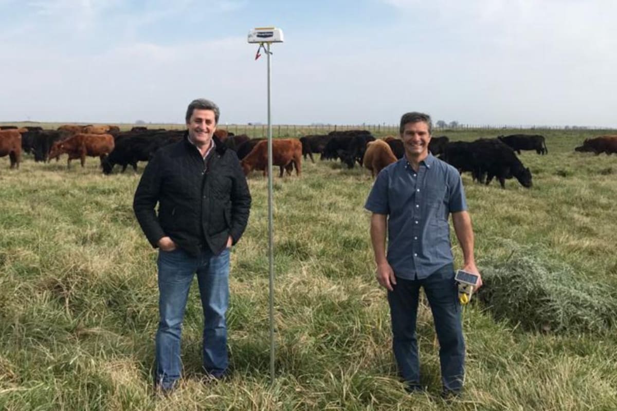Pablo Etcheberry (a la derecha de manga con camisa) junto a su socio Nicolás Schroeder. Detrás las vacas y la vela automática que desarrolló