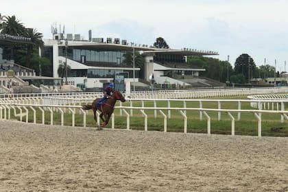 Pablo Falero viajó el 19 de diciembre pasado a Montevideo para montar especialmente a Olympic Harvard