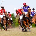 Presiones, angustia y alivio: ahora jugarán el campeonato con el que todo polista sueña