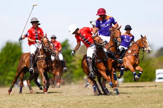 Presiones, angustia y alivio: ahora jugarán el campeonato con el que todo polista sueña