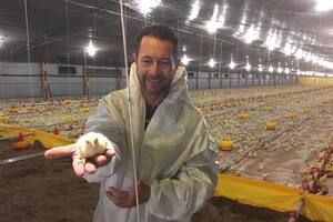 Pablo Marsó, integrante de la cuarta generación que conduce la avícola Las Camelias