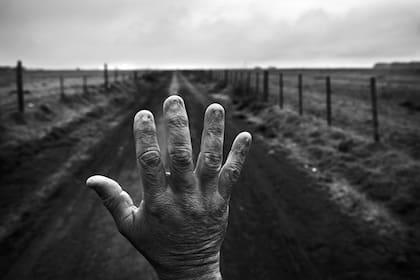 Pablo Piovano, nuevamente premiado por los World Press Photo, en esta ocasión por su proyecto sobre los efectos de los agrotóxicos