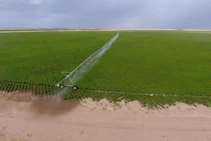 Pablo Ríos apostó a una estructura productiva que ordene el territorio, reduzca costos y garantice previsión de largo plazo