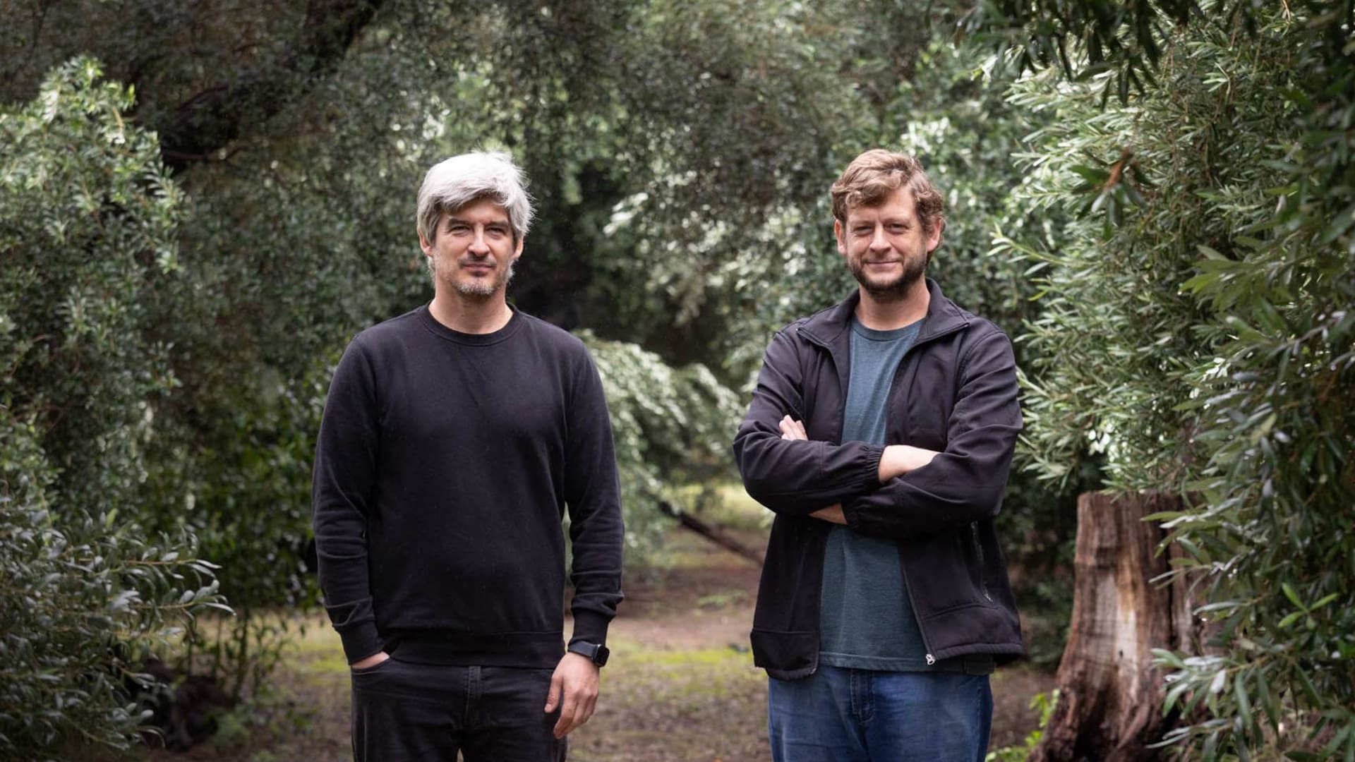 Pablo y Guillermo Geier en los olivares históricos de Olium.