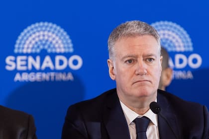 Pablo Yadarola, en una audiencia en el Senado
