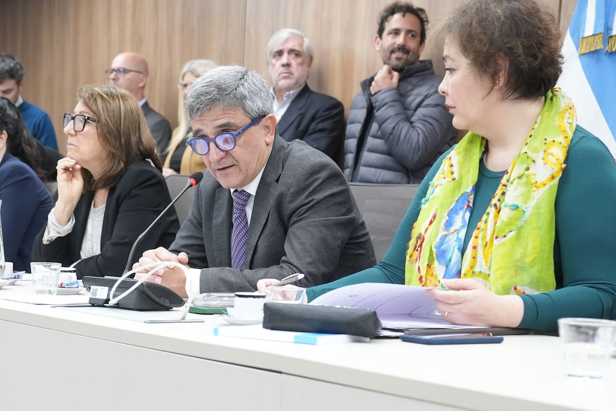 Pablo Yedlin, presidente de la Comisión de Salud en Diputados
