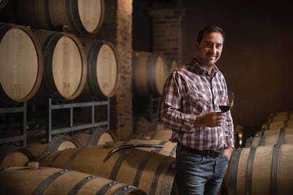 Paco Puga, destacado como enólogo del año, en la bodega El Porvenir de Cafayate