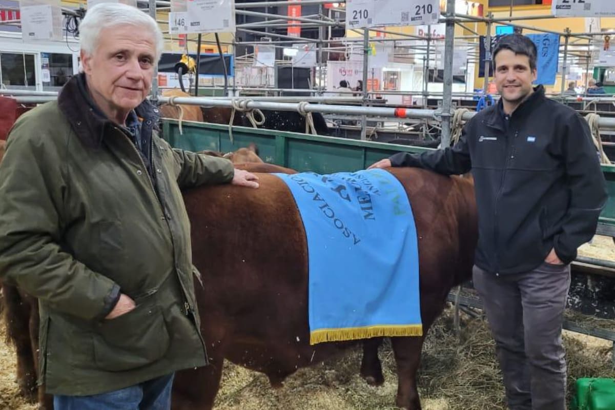 Padre e hijo, los Orazi comparten la misma pasión por los Angus colorados
