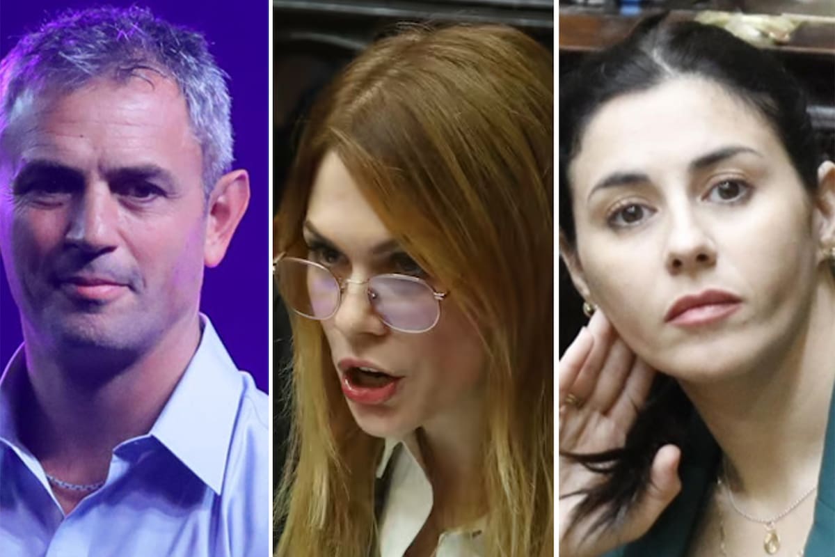 Pagano apuntó contra Lilia Lemoine y la acusó de responder a Martín Menem.