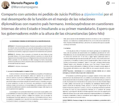 Pagano compartió el proyecto vía X