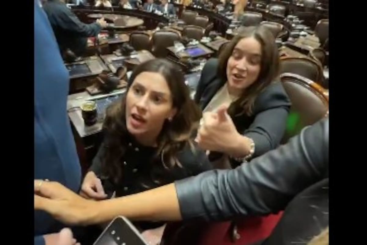 Pagano y Bonacci increpan a Lemoine