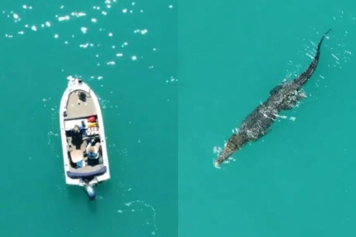 Paige Blundell logró filmar el momento en que un cocodrilo comenzó a merodear su barco