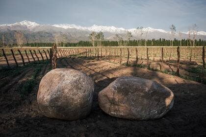 Paisaje de Finca Désiré en San Pablo, Mendoza