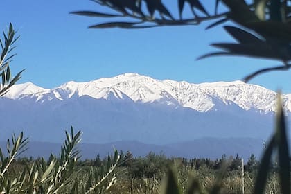 Paisaje de la ruta del olivo