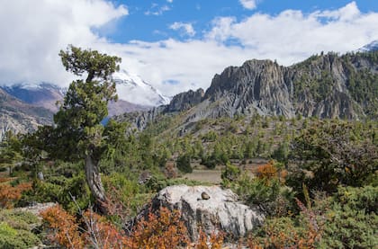 Paisaje del circuito Annapurna en Nepal