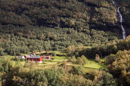 Paisaje interior de los fiordos, verde por la lluvia.