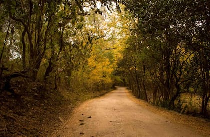 Paisaje otoñal de Villa General Belgrano.