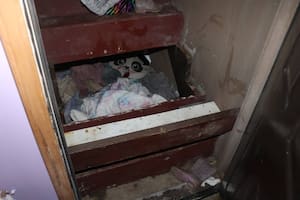 Paislee Shultis, secuestrada en 2019, fue hallada este lunes en buen estado de salud en un habitáculo preparado precariamente debajo de una escalera que conduce a un sótano, en una casa a 240 kilómetros de donde se reportó su desaparición