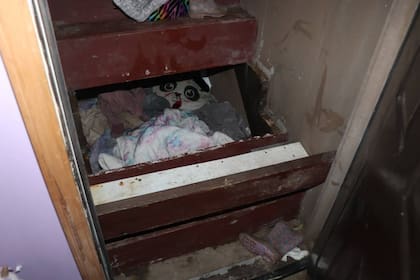 Paislee Shultis, secuestrada en 2019, fue hallada este lunes en buen estado de salud en un habitáculo preparado precariamente debajo de una escalera que conduce a un sótano, en una casa a 240 kilómetros de donde se reportó su desaparición