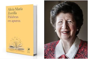 “Hay ejemplos que espeluznan como ‘inesperada sorpresa’ y ‘Las y los medicamentos aumentaron de precio’”