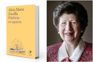 “Hay ejemplos que espeluznan como ‘inesperada sorpresa’ y ‘Las y los medicamentos aumentaron de precio’”