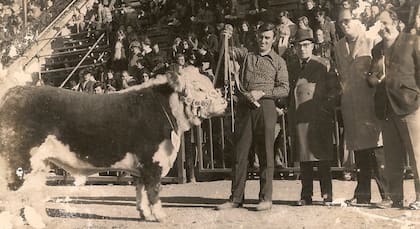Palermo, año 1973: Norman Catto, Mario Hirsch, Octavio Caraballo e Ignacio Corti Maderna
