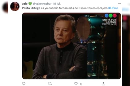 Palito fue el protagonista de los memes del miércoles (Captura Instagram)
