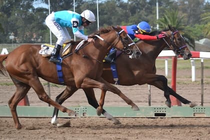 Paliza Salvaje se adelantó a Emerit Craf en La Plata, hace poco más de dos meses; volverán a enfrentarse este viernes en Maroñas.