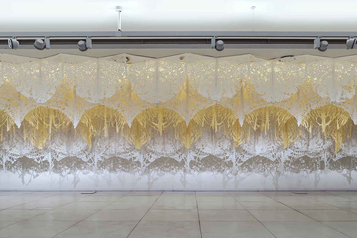 Palmar, instalación de Manuel Ameztoy, aportará la ilusión de internarse en un paisaje infinito