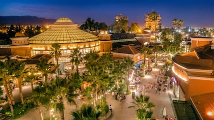 Palmares, el primer shopping abierto de la Argentina desde 1995 y que hoy es la referencia de experiencia en el retail